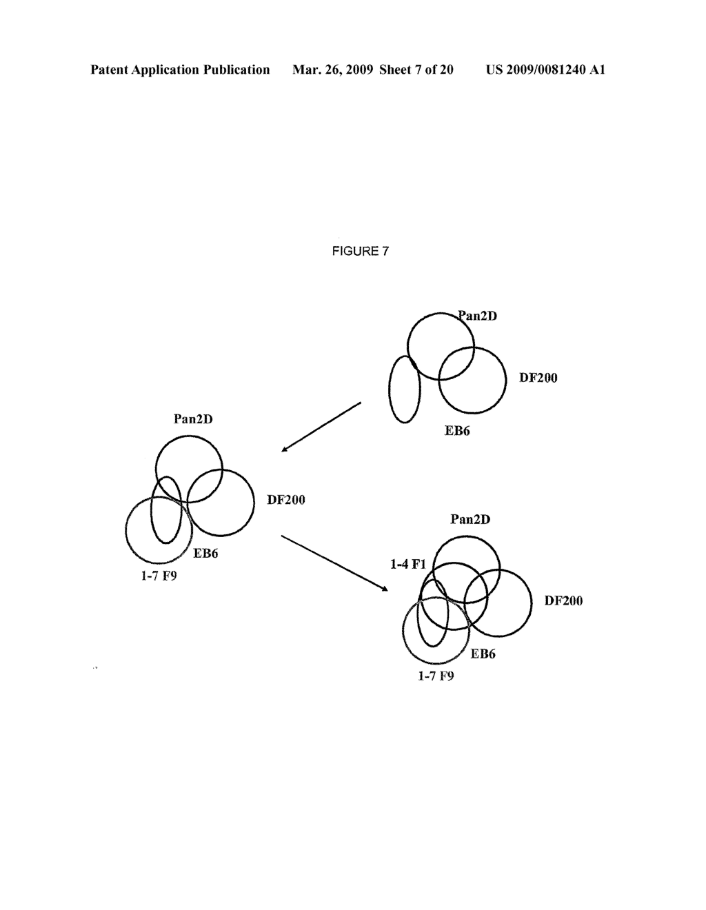 Human Anti-Kir Antibodies - diagram, schematic, and image 08