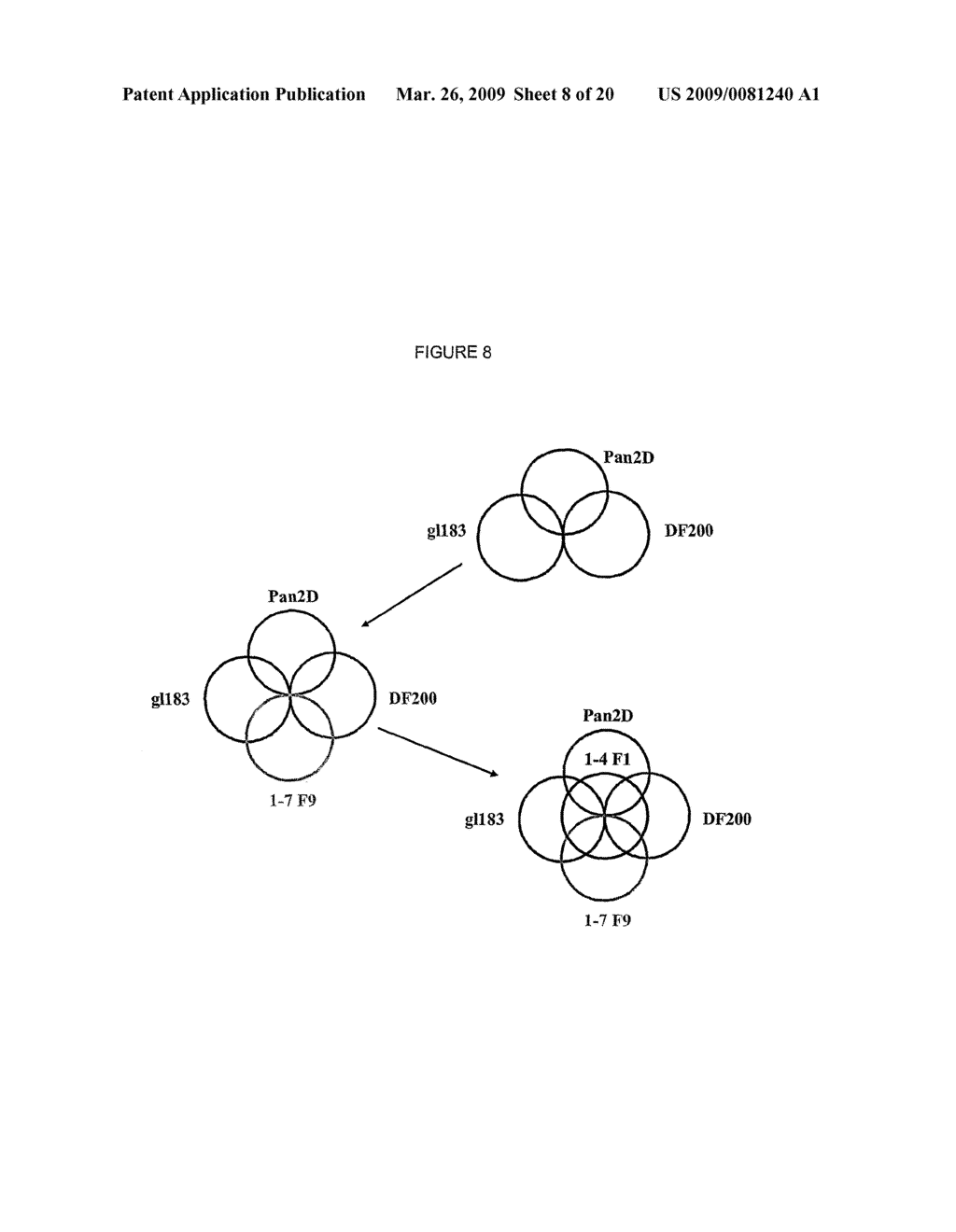 Human Anti-Kir Antibodies - diagram, schematic, and image 09