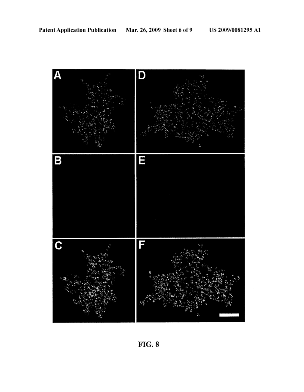 NANOCLUSTERS FOR DELIVERY OF THERAPEUTICS - diagram, schematic, and image 07