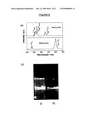 Method of Preparing Nano-Structured Material(s) and Uses Thereof diagram and image