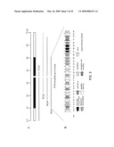 PLATENSIMYCIN BIOSYNTHETIC GENE CLUSTER OF STREPTOMYCES PLATENSIS diagram and image