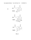 PLATENSIMYCIN BIOSYNTHETIC GENE CLUSTER OF STREPTOMYCES PLATENSIS diagram and image