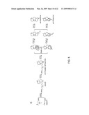 PLATENSIMYCIN BIOSYNTHETIC GENE CLUSTER OF STREPTOMYCES PLATENSIS diagram and image