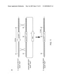 PLATENSIMYCIN BIOSYNTHETIC GENE CLUSTER OF STREPTOMYCES PLATENSIS diagram and image