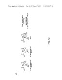 PLATENSIMYCIN BIOSYNTHETIC GENE CLUSTER OF STREPTOMYCES PLATENSIS diagram and image