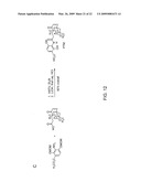 PLATENSIMYCIN BIOSYNTHETIC GENE CLUSTER OF STREPTOMYCES PLATENSIS diagram and image