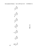 PLATENSIMYCIN BIOSYNTHETIC GENE CLUSTER OF STREPTOMYCES PLATENSIS diagram and image