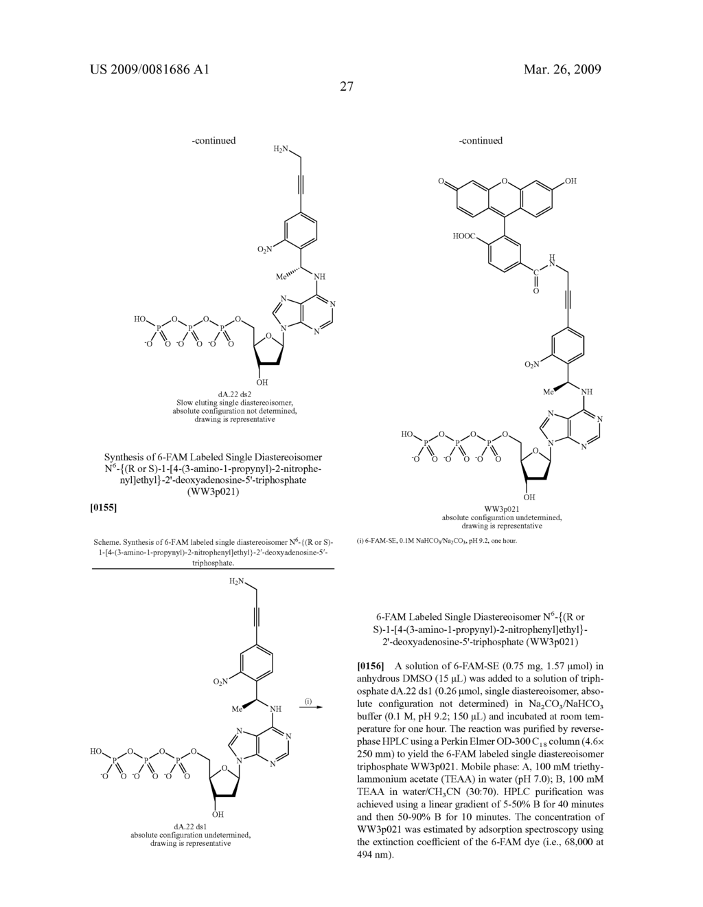 PHOTOCLEAVABLE LABELED NUCLEOTIDES AND NUCLEOSIDES AND METHODS FOR THEIR USE IN DNA SEQUENCING - diagram, schematic, and image 28