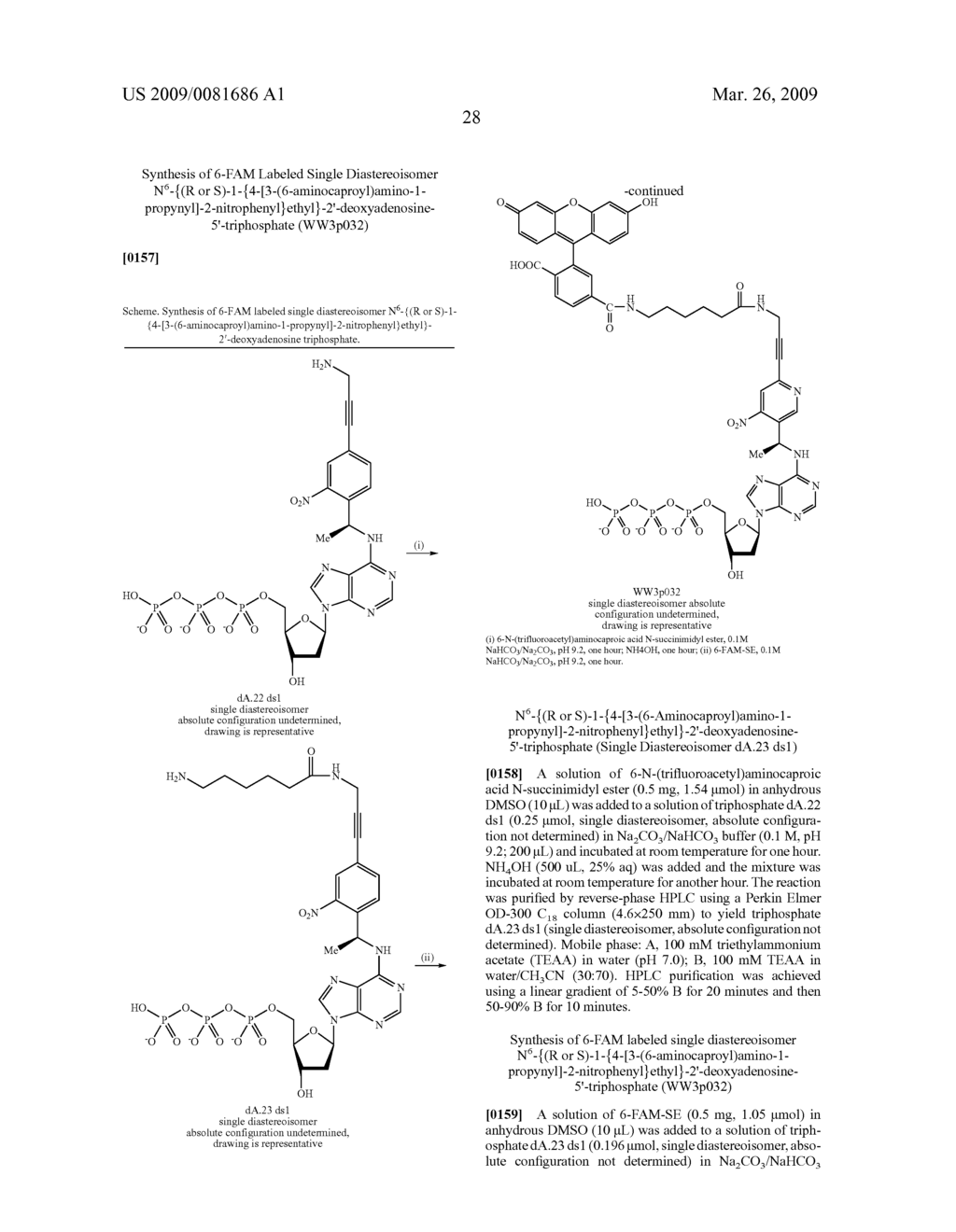 PHOTOCLEAVABLE LABELED NUCLEOTIDES AND NUCLEOSIDES AND METHODS FOR THEIR USE IN DNA SEQUENCING - diagram, schematic, and image 29