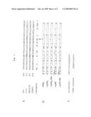 PRODUCTION OF ATTENUATED NEGATIVE STRANDED RNA VIRUS VACCINES FROM CLONED NUCLEOTIDE SEQUENCES diagram and image