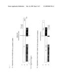 PRODUCTION OF ATTENUATED NEGATIVE STRANDED RNA VIRUS VACCINES FROM CLONED NUCLEOTIDE SEQUENCES diagram and image