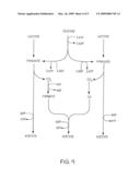 PROCESS FOR PRODUCING ETHANOL FROM CORN DRY MILLING diagram and image