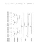 NUCLEIC ACID ENCODING A NOVEL RIBONUCLEASE HAVING AN AMINO ACID SEQUENCE MADE UP OF THE AMINO ACID SEQUENCE OF A KNOWN RIBONUCLEASE AND AN N-TERMINAL LEADER SEQUENCE THAT IS AT LEAST ONE RESIDUE LONG diagram and image