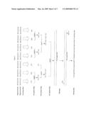 NUCLEIC ACID ENCODING A NOVEL RIBONUCLEASE HAVING AN AMINO ACID SEQUENCE MADE UP OF THE AMINO ACID SEQUENCE OF A KNOWN RIBONUCLEASE AND AN N-TERMINAL LEADER SEQUENCE THAT IS AT LEAST ONE RESIDUE LONG diagram and image