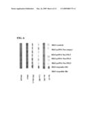 TUMOR SUPPRESSOR GENE, P28ING5 diagram and image