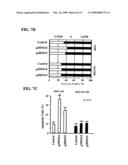 TUMOR SUPPRESSOR GENE, P28ING5 diagram and image