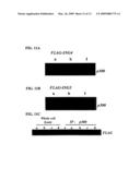 TUMOR SUPPRESSOR GENE, P28ING5 diagram and image