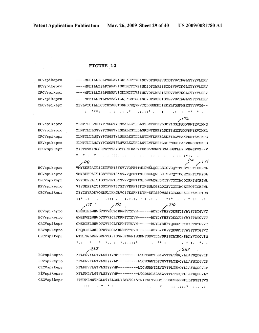 CANINE RESPIRATORY CORONAVIRUS (CRCV) SPIKE PROTEIN, POLYMERASE AND HEMAGGLUTININ/ESTERASE - diagram, schematic, and image 30