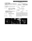 Methods for vitrification of human oocytes diagram and image