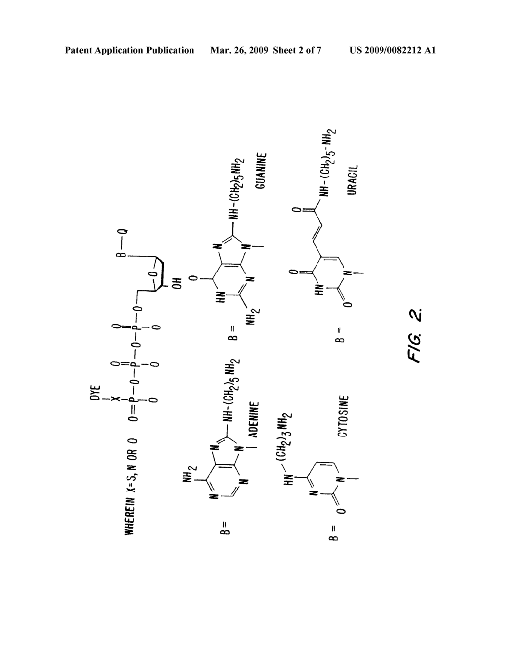 SYSTEM AND METHODS FOR NUCLEIC ACID SEQUENCING OF SINGLE MOLECULES BY POLYMERASE SYNTHESIS - diagram, schematic, and image 03