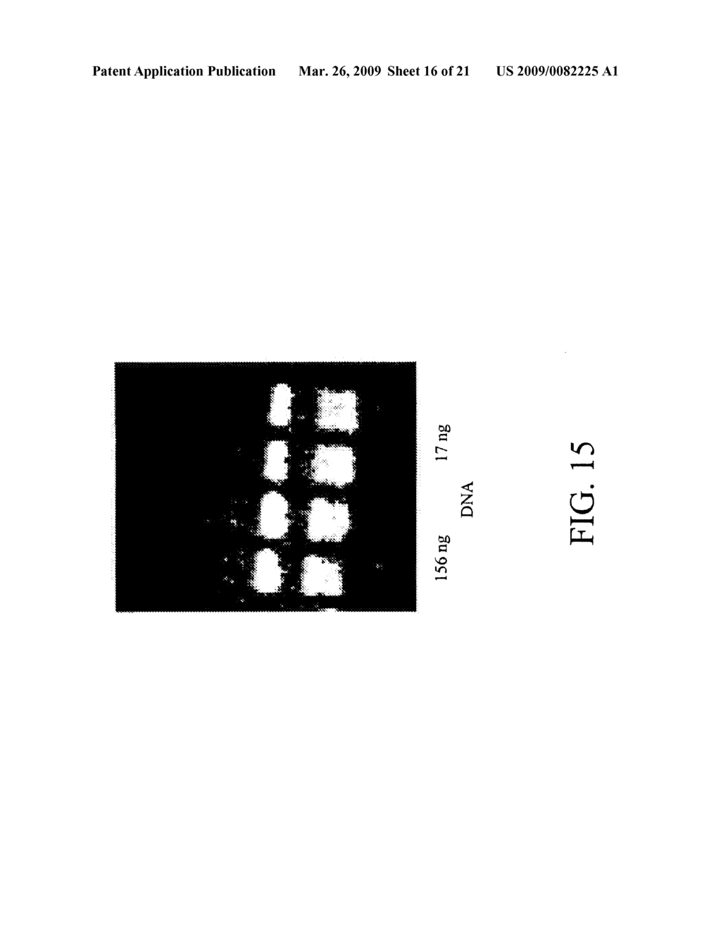 NUCLEIC ACID ARCHIVING - diagram, schematic, and image 17