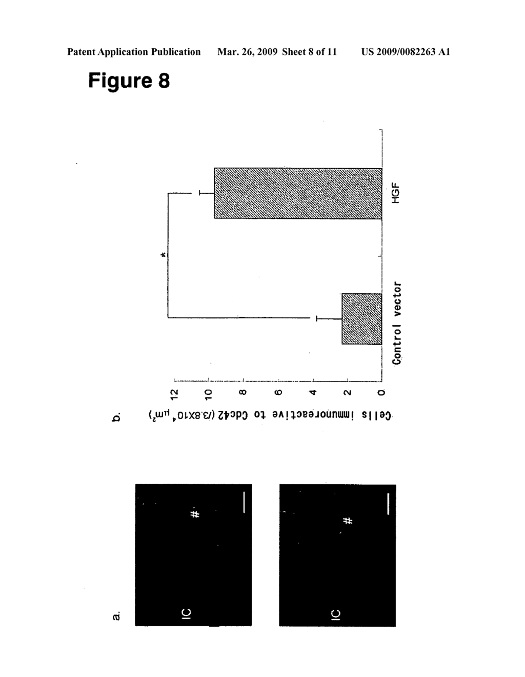 DRUG AND METHOD FOR IMPROVING BRAIN FUNCTION - diagram, schematic, and image 09