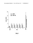 Muteins of Placental Growth Factor Type I, Preparation Method And Application Thereof diagram and image