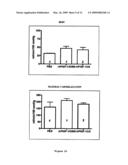 Muteins of Placental Growth Factor Type I, Preparation Method And Application Thereof diagram and image