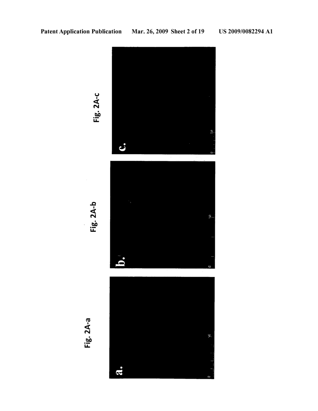 Diagnosis, prevention and treatment of cancer - diagram, schematic, and image 03