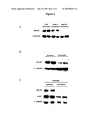 Compositions and Methods for Regulating Gene Expression diagram and image