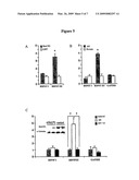 Compositions and Methods for Regulating Gene Expression diagram and image