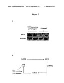 Compositions and Methods for Regulating Gene Expression diagram and image