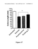 Targeting Prodrugs for the Treatment of Gastrointestinal Diseases diagram and image