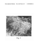 METHOD FOR OBTAINING PRECIPITATED CALCIUM CARBONATE PARTICLES OF NANOMETRIC SCALE STRUCTURE diagram and image