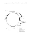 SYSTEM AND METHOD FOR PRODUCTION OF ANTIBODIES IN PLANT CELL CULTURE diagram and image