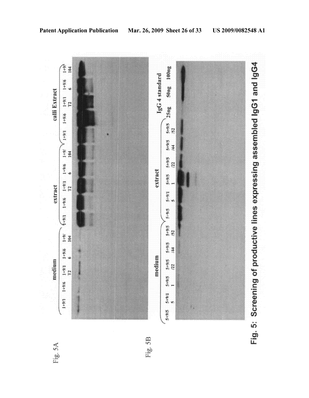 SYSTEM AND METHOD FOR PRODUCTION OF ANTIBODIES IN PLANT CELL CULTURE - diagram, schematic, and image 27