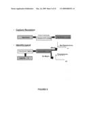 Method, compositions and classification for tumor diagnostics and treatment diagram and image