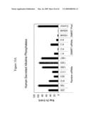 siRNA targeting TATA box binding protein (TBP)-associated factor (TAF1) diagram and image