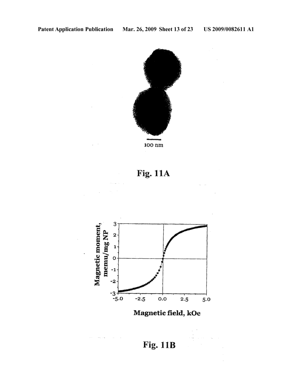 Uniform field magnetization and targeting of therapeutic formulations - diagram, schematic, and image 14