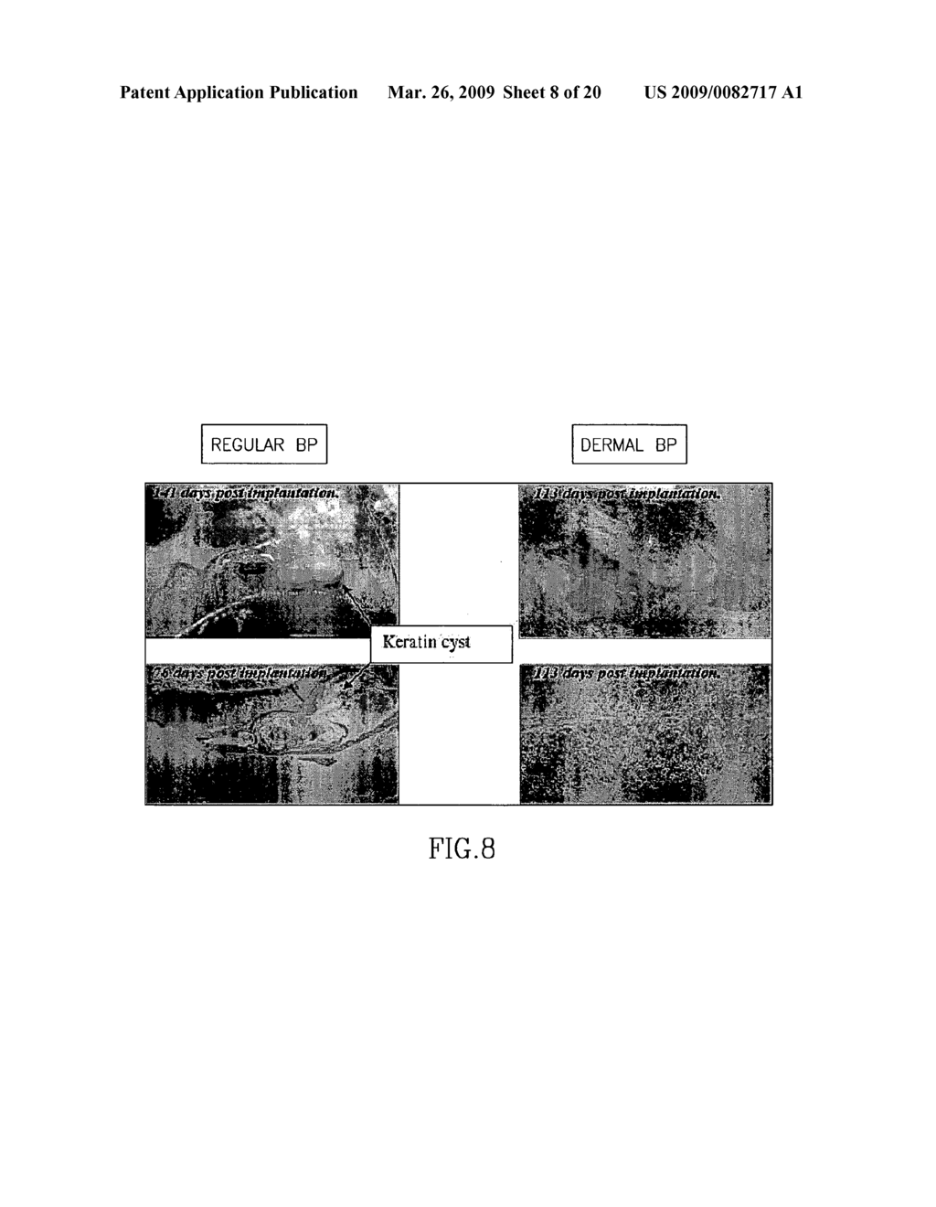 Dermal micro-organs, methods and apparatuses for producing and using the same - diagram, schematic, and image 09