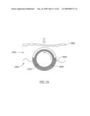 Dermal micro-organs, methods and apparatuses for producing and using the same diagram and image