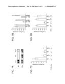 SEQUENCE-SPECIFIC INHIBITION OF SMALL RNA FUNCTION diagram and image