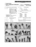 D-Amino Acid Selection For Soybean diagram and image