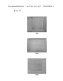 MULTILAYER BODY FOR ELECTROPHORESIS AND TRANSFER, CHIP FOR ELECTROPHORESIS AND TRANSFER, ELECTROPHORESIS AND TRANSFER APPARATUS, METHOD OF ELECTROPHORESIS AND TRANSFER, AND METHOD OF MANUFACTURING MULTILAYER BODY FOR ELECTROPHORESIS AND TRANSFER diagram and image