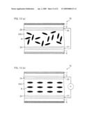 DISPLAY ELEMENT AND DISPLAY DEVICE diagram and image