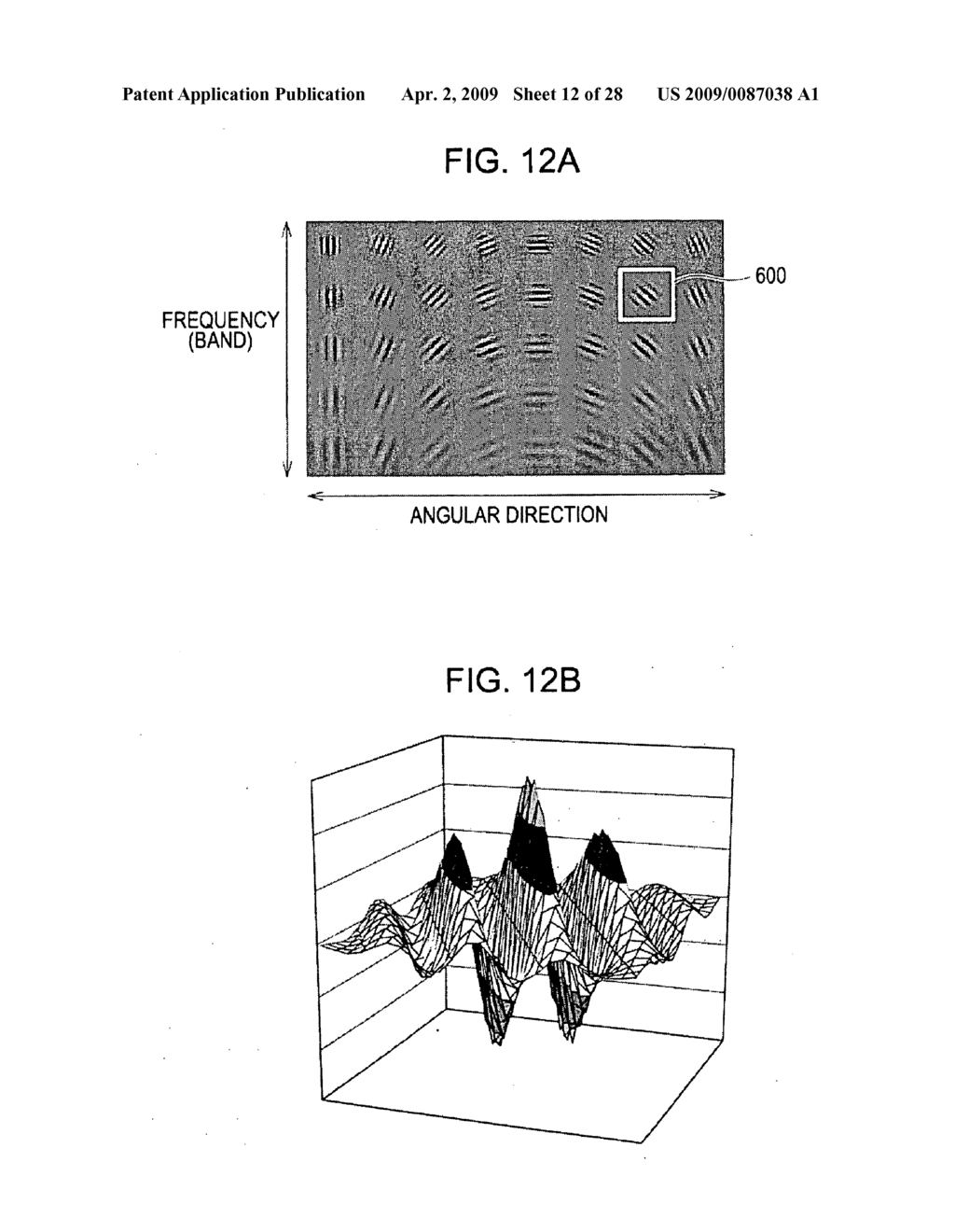 IMAGE PROCESSING APPARATUS, IMAGE PICKUP APPARATUS, PROCESSING METHOD FOR THE APPARATUSES, AND PROGRAM FOR THE APPARATUSES - diagram, schematic, and image 13