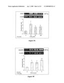 Modulating Retinal Pigmented Epithelium Permeaion By Inhibiting Or Activating VEGFR-1 diagram and image