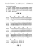 ANTI-FC-GAMMA RIIB RECEPTOR ANTIBODY AND USES THEREFOR diagram and image