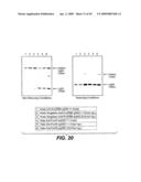 ANTI-FC-GAMMA RIIB RECEPTOR ANTIBODY AND USES THEREFOR diagram and image