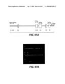 ANTI-FC-GAMMA RIIB RECEPTOR ANTIBODY AND USES THEREFOR diagram and image